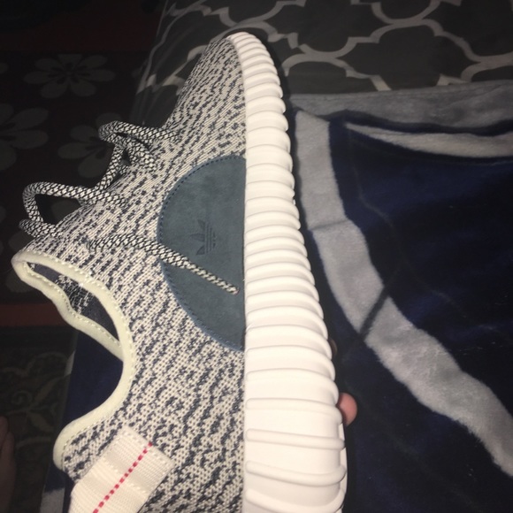Yeezy Turtle Doves - Picture 5 of 8